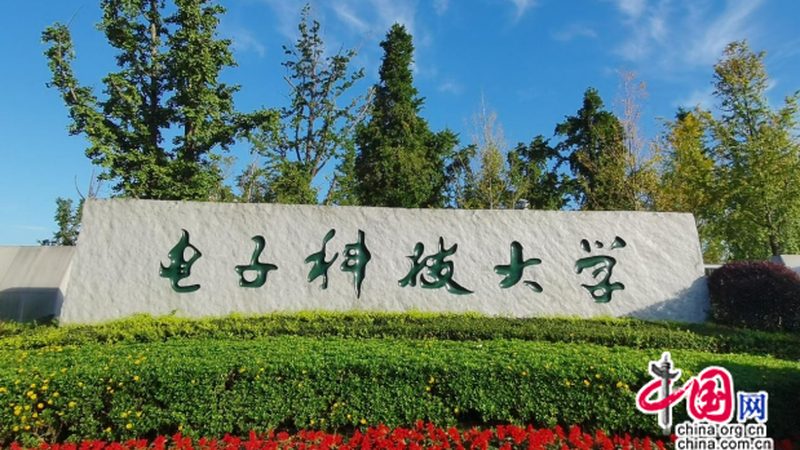 物联网芯片：揭秘十大品牌背后的技术实力与市场布局