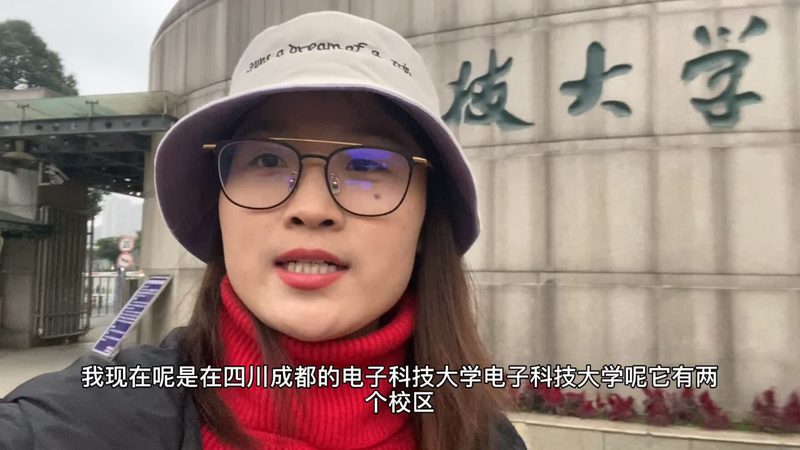 在查找芯片规格时，重点关注以下关键参数：
